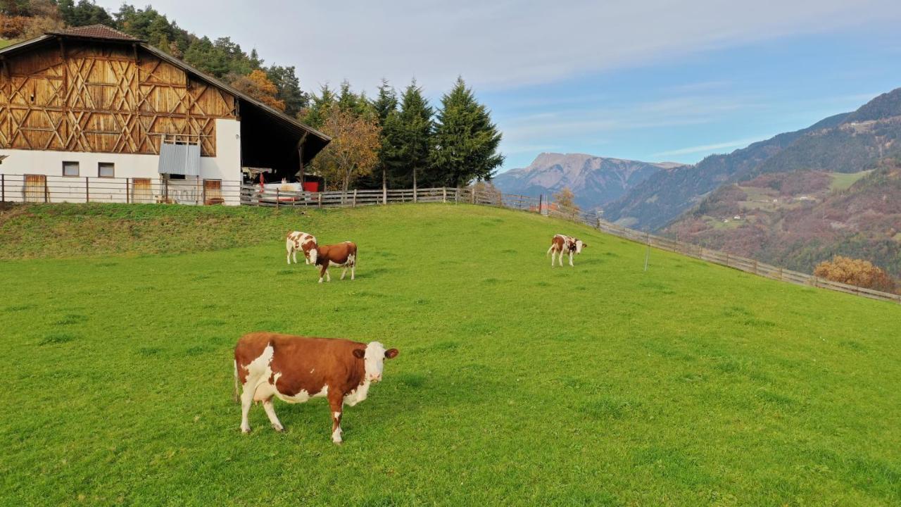 Ferienwohnung Unterkofler San Genesio Atesino Buitenkant foto